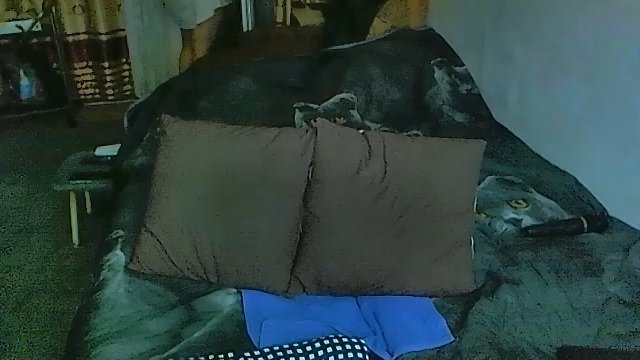 sex2 live cam screenshot malefemale on PornAJ – Adult Videos, Live Cams & Chat — screenshot #1